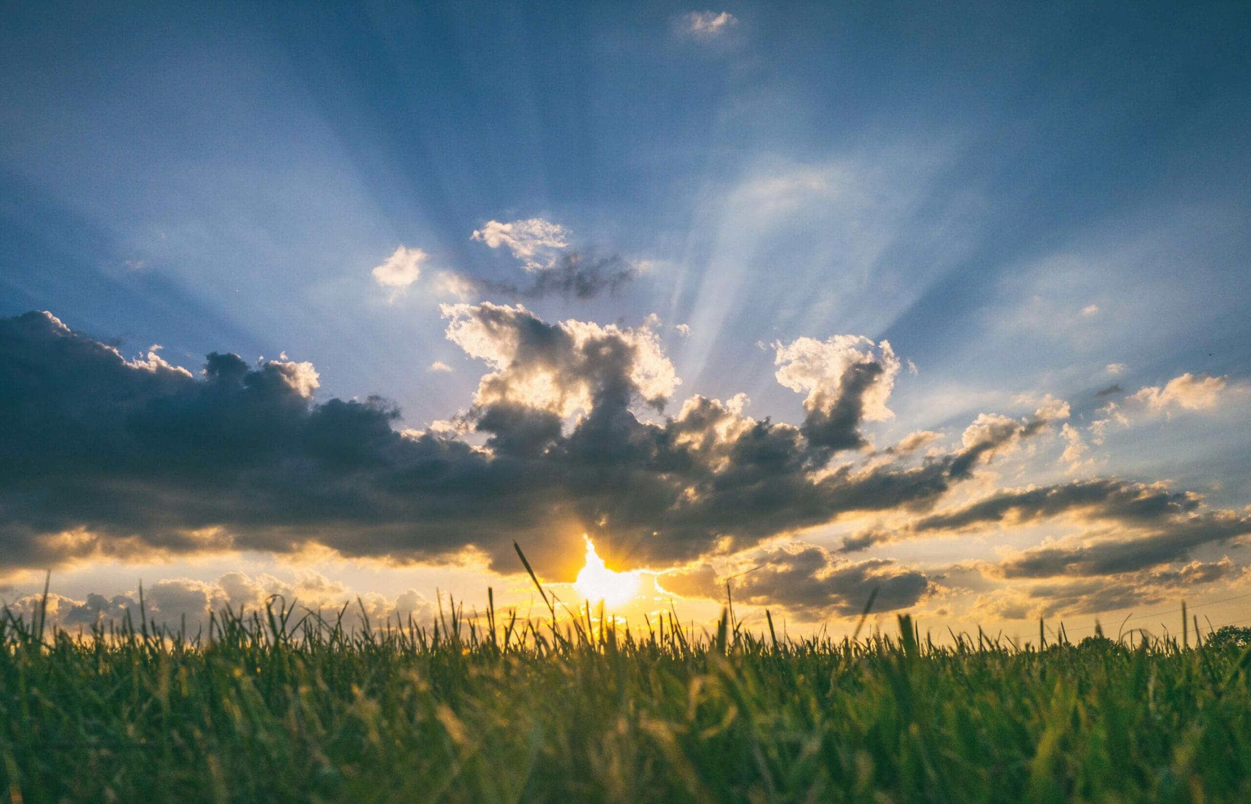 GreenKey helps Canadian homeowners maximize the lifetime savings from their solar system by providing email reminders for Alberta Solar Club notifying participants when it is time to switch electricity rates